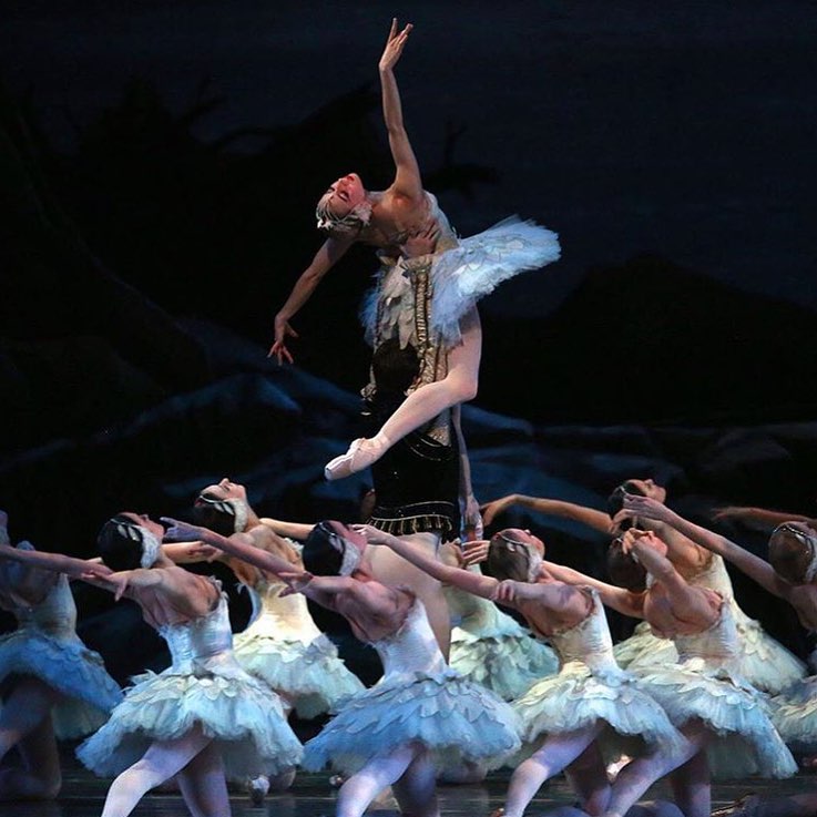 swanlake with abt